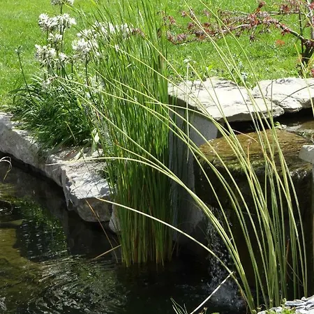 Au Cocon D'avoine * Hamois