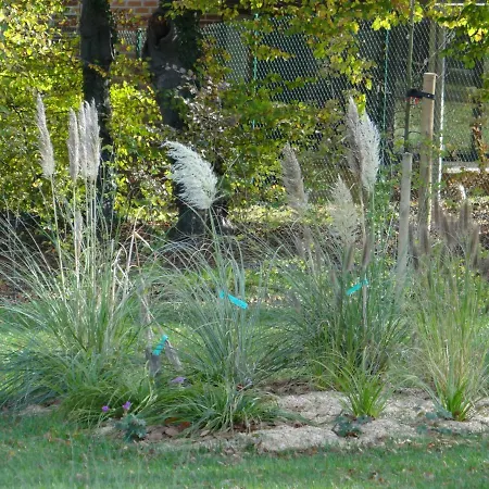 Au Cocon D'avoine Ferienhaus *