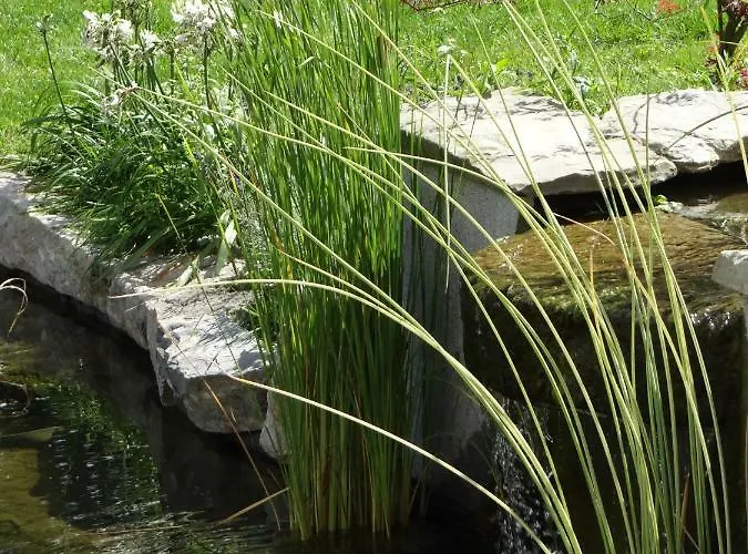 Au Cocon D'avoine * Hamois