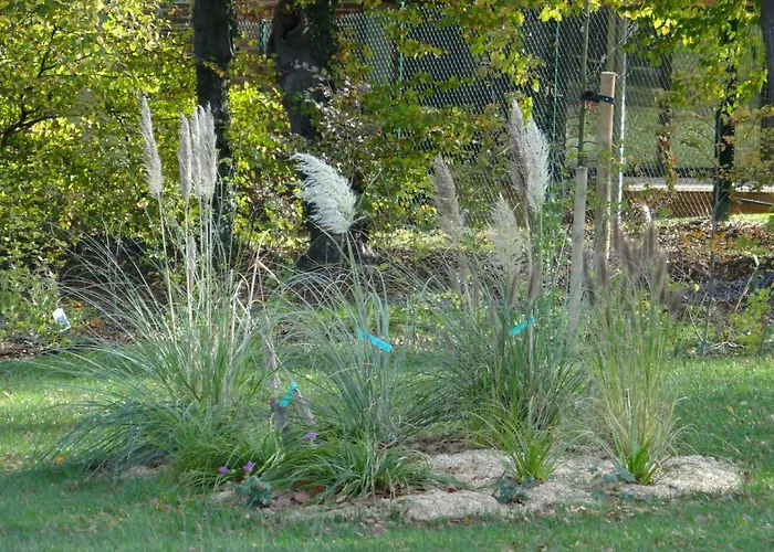 Au Cocon D'avoine Hébergement de vacances *